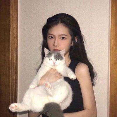热血武林满v变态版下载
